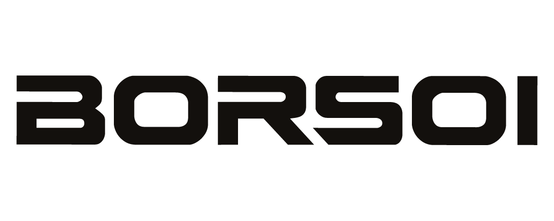 Logo BORSOI SRL