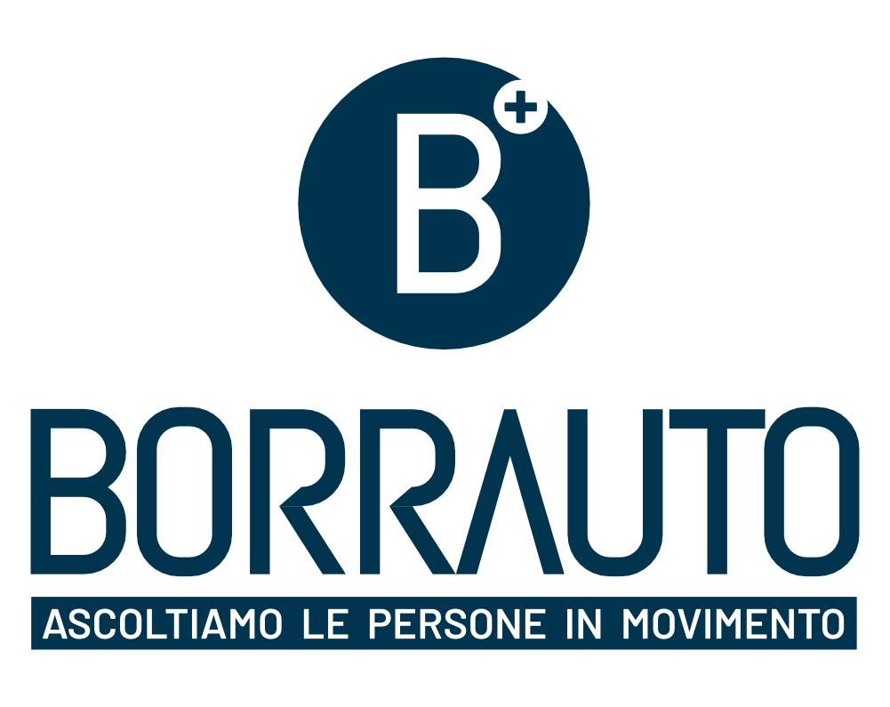 Logo BORRAUTO SRL